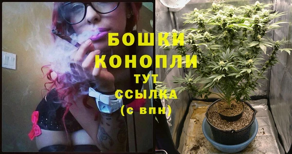 шишки Волоколамск