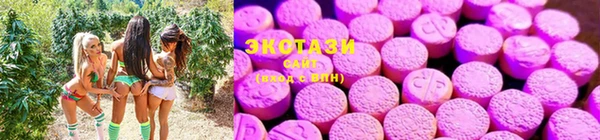 шишки Волоколамск