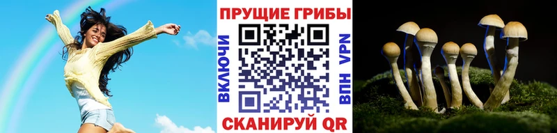Галлюциногенные грибы GOLDEN TEACHER как найти закладки Борисоглебск